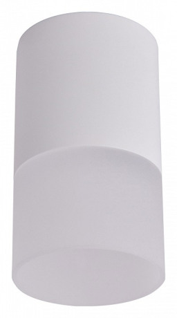 Накладной светильник Favourite Naram 3069-1C 