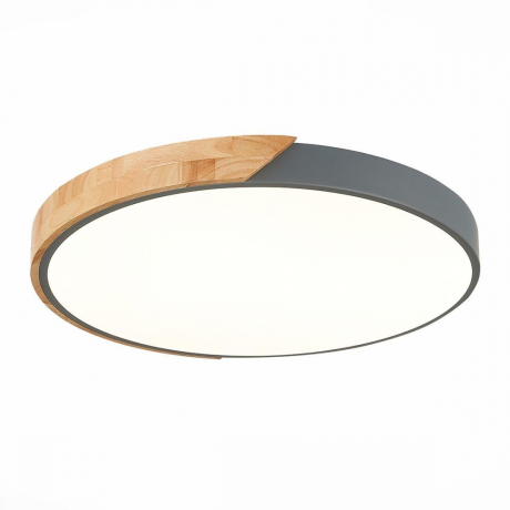 Накладной светильник EVOLUCE Festa SLE200972-01 