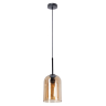 Нарушена упаковка!  <303517> Подвесной светильник Arte Lamp Paio A7015SP-1BK