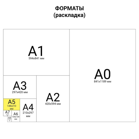 Нарушена упаковка!  <301322> Дневник читательский А5, 40 л., скоба, обложка картон, с цветным блоком, ПИФАГОР "Мир книг", 113448 (113448)