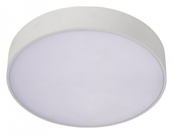 Накладной светильник Aployt Evon APL.0114.09.18 