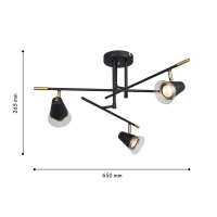 потолочная люстра F-Promo Trandy 4618-3C