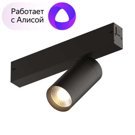 Однофазный LED светильник 9W 3000-6000К для трека с поддержкой ''Алиса'' Smart Denkirs DK8010-BK 