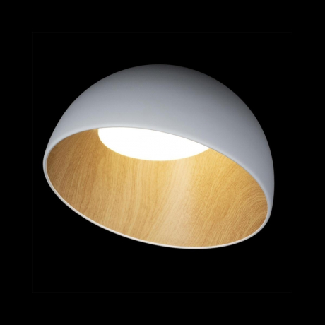 Потолочный светодиодный светильник Loft IT Egg 10197/350 White 