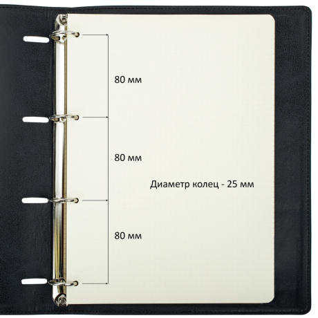 Нарушена упаковка!  <402520> Тетрадь на кольцах БОЛЬШАЯ А4 (240х310 мм), 120 листов, под кожу, клетка, BRAUBERG "Main", черный, 404509 (404509)
