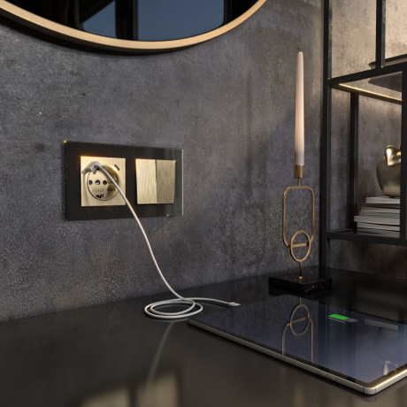 Розетка с быстрой зарядкой USB Type A+С (шампань рифленый) Werkel W1171710