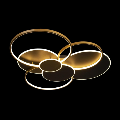 Потолочный светодиодный светильник Loft IT Megan 10163 Black 