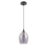 Подвесной светильник с лампочкой Arte lamp A4344SP-1BK+Lamps 