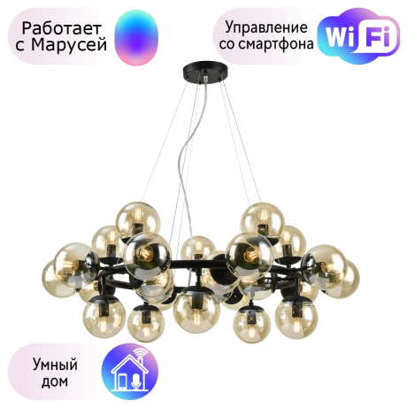 Подвесная люстра Arte Lamp с поддержкой Маруся A1664SP-25BK-М 