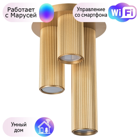 Потолочный светильник Lightstar с поддержкой Маруся Roma 718033 