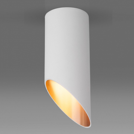 Накладной светильник Elektrostandard 7011, 7005 a050119 