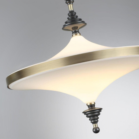 Подвесной светодиодный светильник Odeon Light Exclusive L-Vision Ula 5404/43CL 