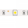 Лента светодиодная Maytoni Led Strip Led strip 10126