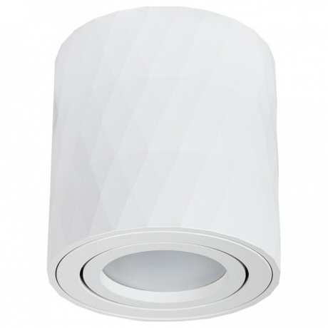Накладной светильник Arte Lamp Fang A5559PL-1WH 