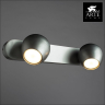 A5781AP-2SS Спот Arte Lamp SFERA 
