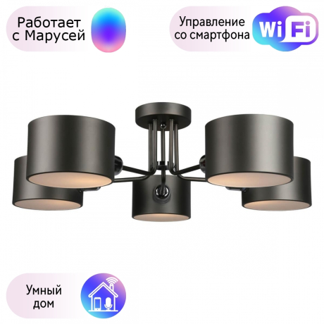 Люстра с поддержкой Маруси потолочная Omnilux OML-54507-05-M 