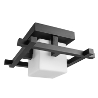 Потолочный светильник Arte Lamp Woods A8252PL-1CK