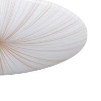 Потолочный светильник Eglo Nieves 1 900501