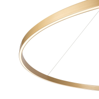 Подвесной светильник Maytoni MOD058PL-L65BSK Rim