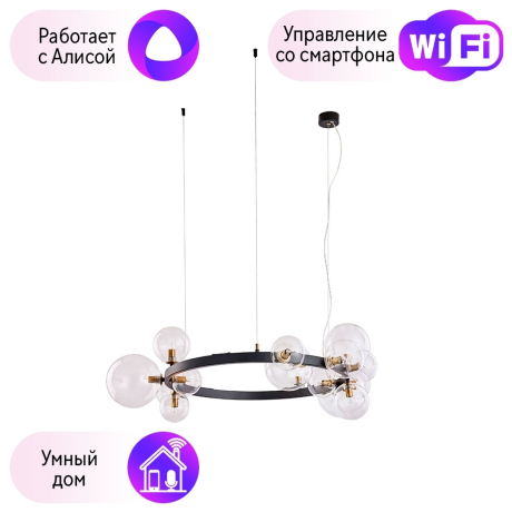 Подвесная люстра с поддержкой Алисы, комплект от Lustrof №257624 