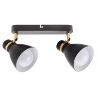 Спот с 2 лампочками Arte lamp A5047PL-2BK+Lamps
