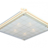 Светильник потолочный с лампочками Omnilux OML-40517-05+Lamps 
