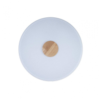 Потолочный светодиодный светильник Axel Loft It 10003/24 White