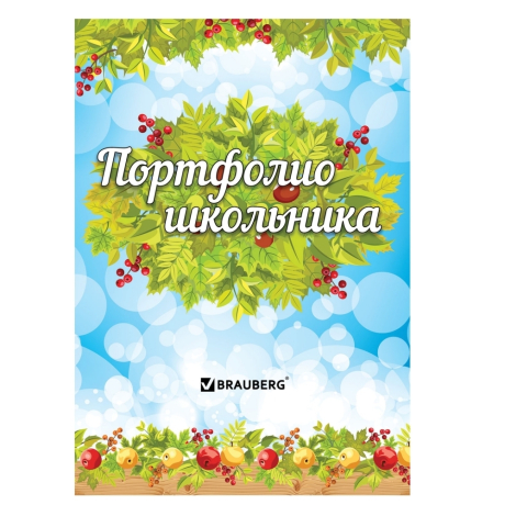 Нарушена упаковка! <200034> Листы-вкладыши для портфолио школьника, 14 разделов, 16 листов, "Окружающий мир", BRAUBERG, 126896 (126896)