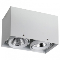 1986-2U Накладной точечный светильник с поворотным механизмом Favourite Flashled