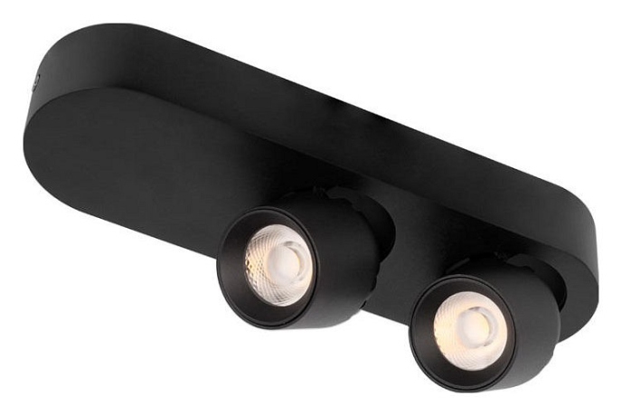 Накладной светильник Loft it Quiet 10320/2 Black 