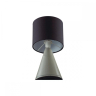 Настольная лампа Lumion Moderni Segi 8132/1T 