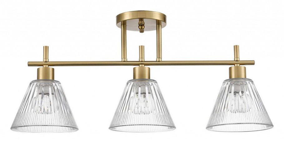 Светильник на штанге Lumion Vivian 8188/3C 