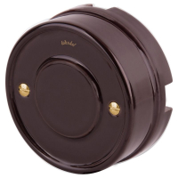 WL18-22-01 (a038396) Винты для распределительной коробки/TV розетки 2 шт. Werkel Ретро