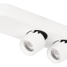 Накладной светильник Loft it Quiet 10320/2 White 
