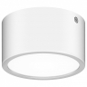 Накладной светильник Lightstar Zolla 380163