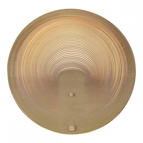 Накладной светильник ST-Luce Fossil SL6900.501.16 