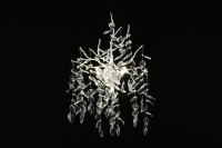 Бра в комплекте с Led лампами APLOYT APL.847.11.03+Lamps