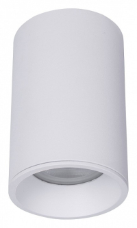 Накладной светильник Maytoni Technical Zoom C029CL-01-S-W