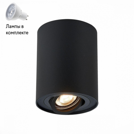 Светильник точечный с Led лампочками в комплекте ST Luce ST108.417.01+Lamps 