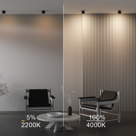 Встраиваемый светильник Technical DL024-12W-DTW-B Onda 