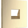Накладка для розетки телефонной RJ-11 Werkel шампань рифленый W1192010