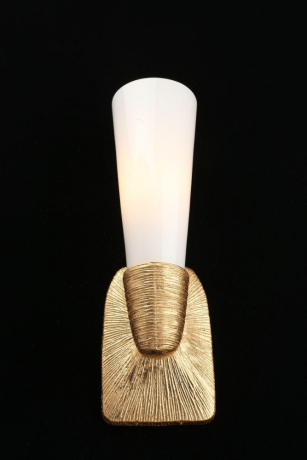 Бра Aployt Hloya APL.800.01.01 