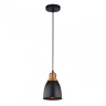 Нарушена упаковка. <94789> Подвесной светильник Arte Lamp Eurica A4248SP-1BK