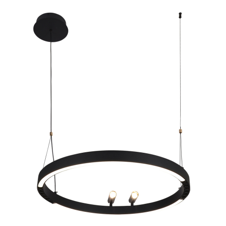 Подвесной светильник F-promo Slinga 4474-1P 