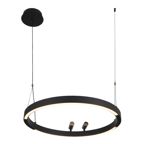 Подвесной светильник F-promo Slinga 4474-1P 