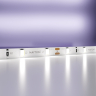 5м. Светодиодная лента холодного цвета 6000К, 4,8W, 12V, 60LED, IP20 Led strip 20009 
