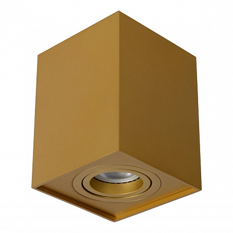 Накладной поворотный светильник Lucide Tube 22953/01/02 