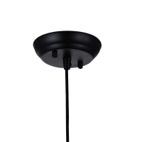 1788-1P Подвесной светильник Favourite Strainer