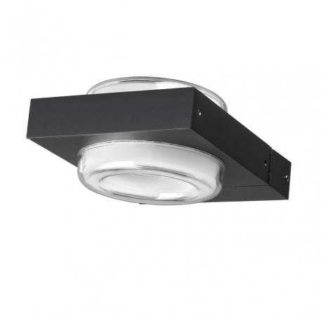 Накладной светильник Odeon Light NATURE 6654/6WL
