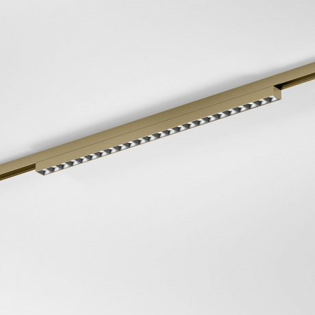 Накладной светильник Elektrostandard  85529/01 